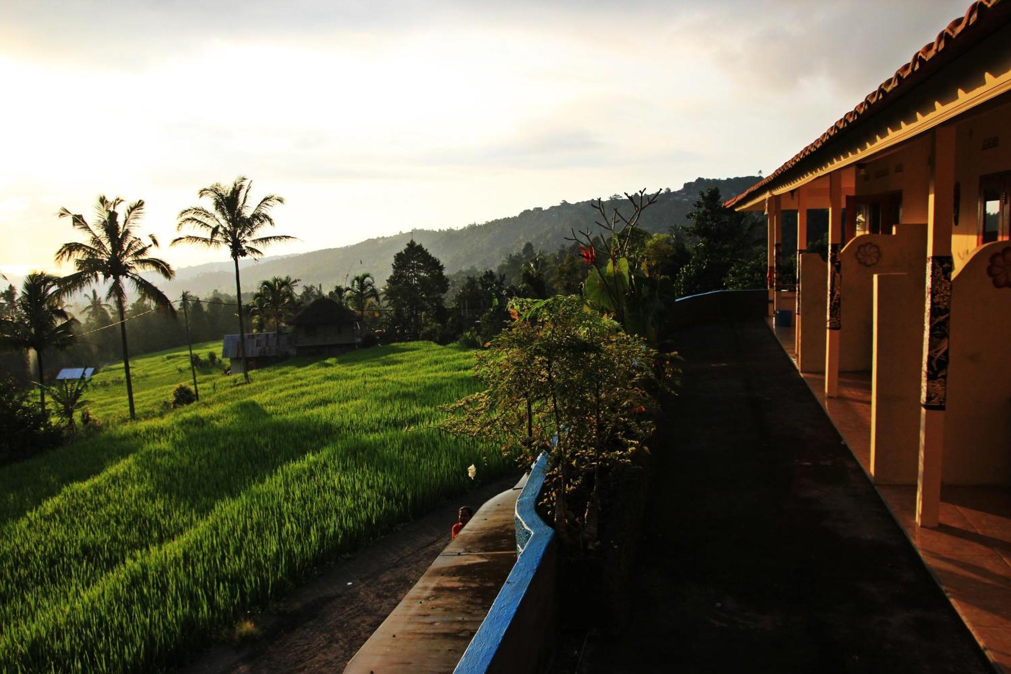 Gangga Homestay Munduk Exterior foto